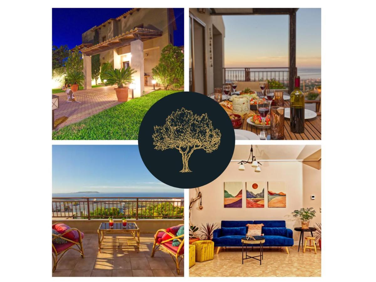 Ulivo Sea View House Villa *